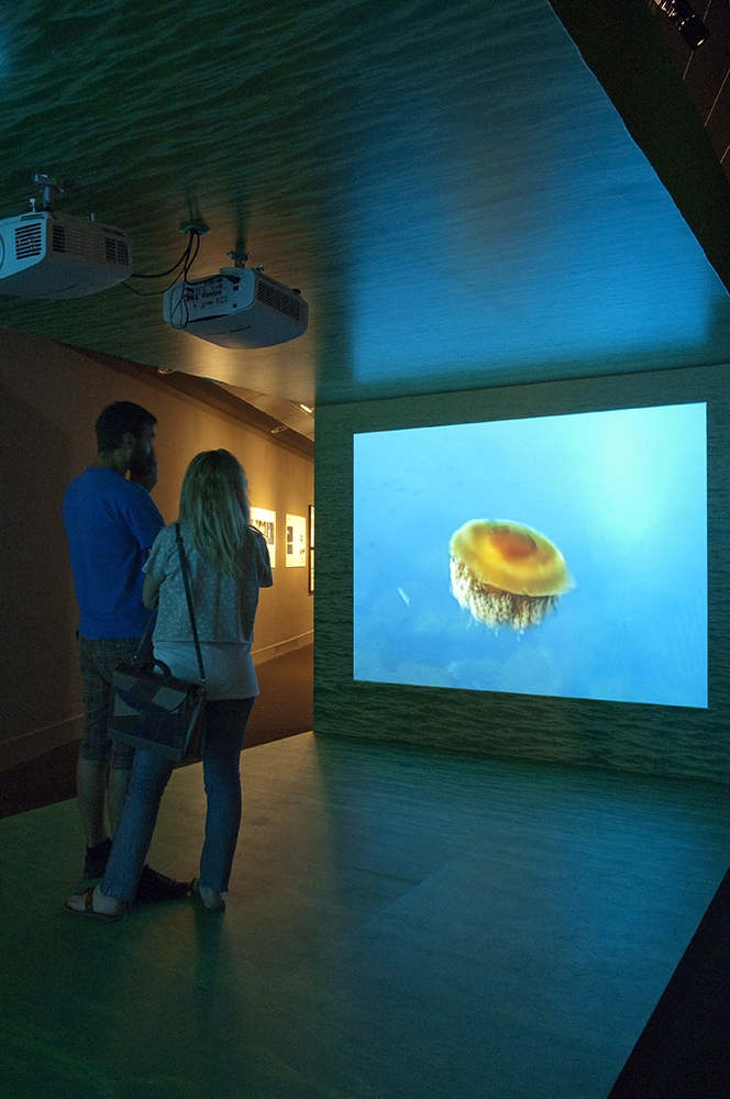 Expo Barcelona, Valencia, Palma