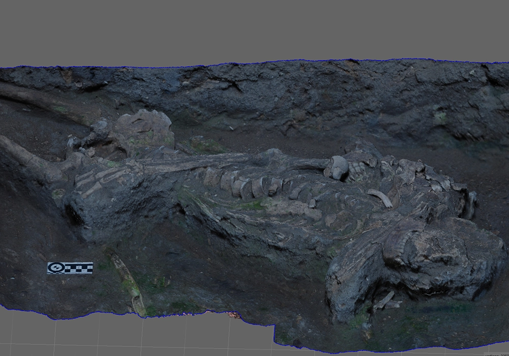 Skeleton Josephine Bakhita